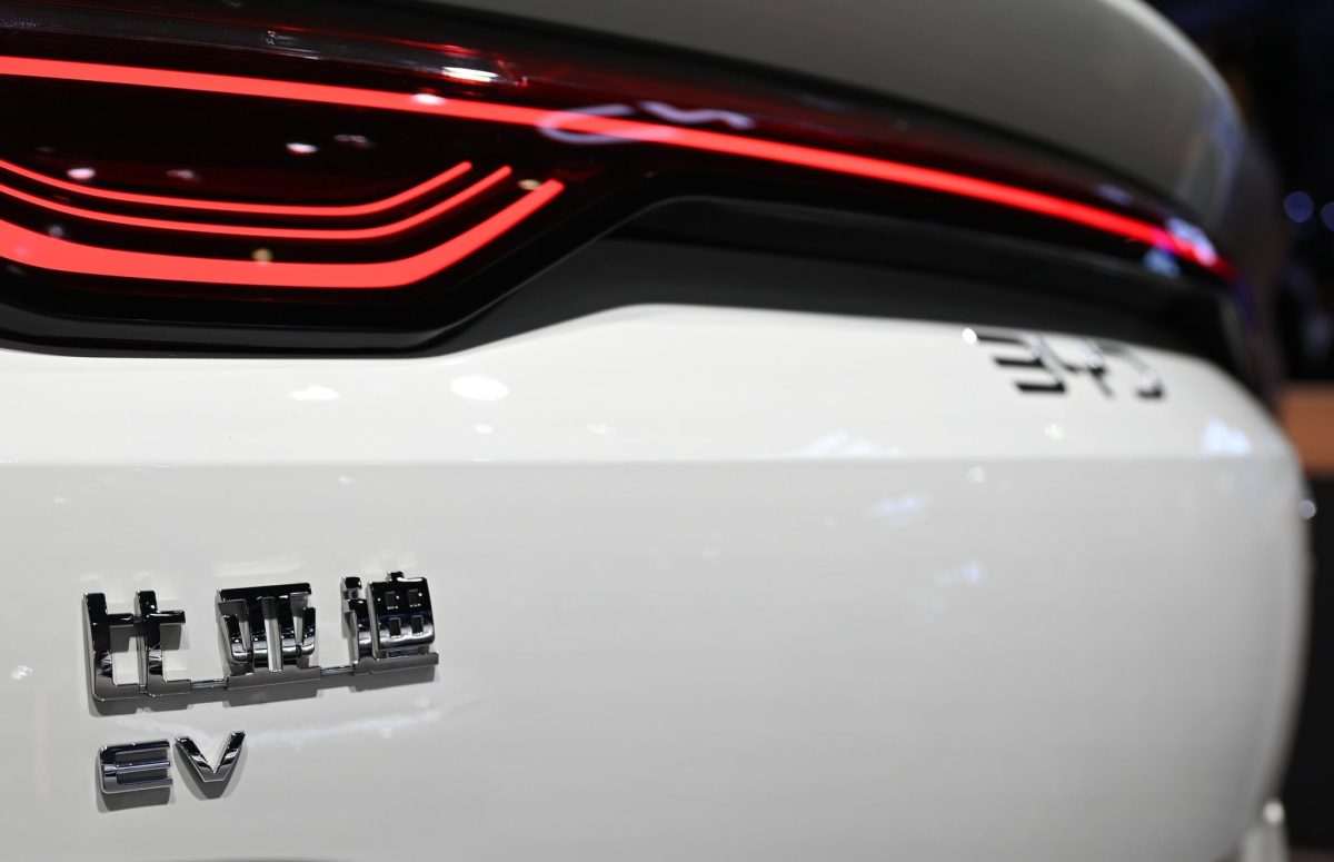 BYD, električni automobil/ Foto: Johannes Neudecker/dpa