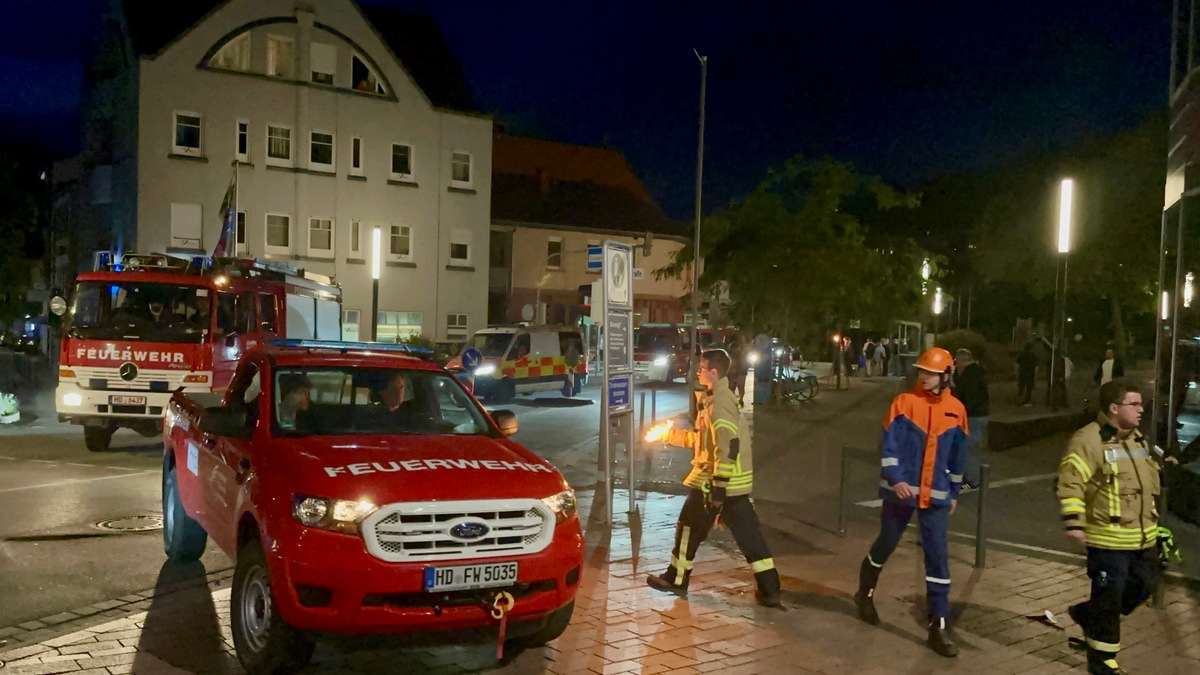 Vatrogasci (ILUSTRACIJA)/ Foto: Feuerwehr Weinheim