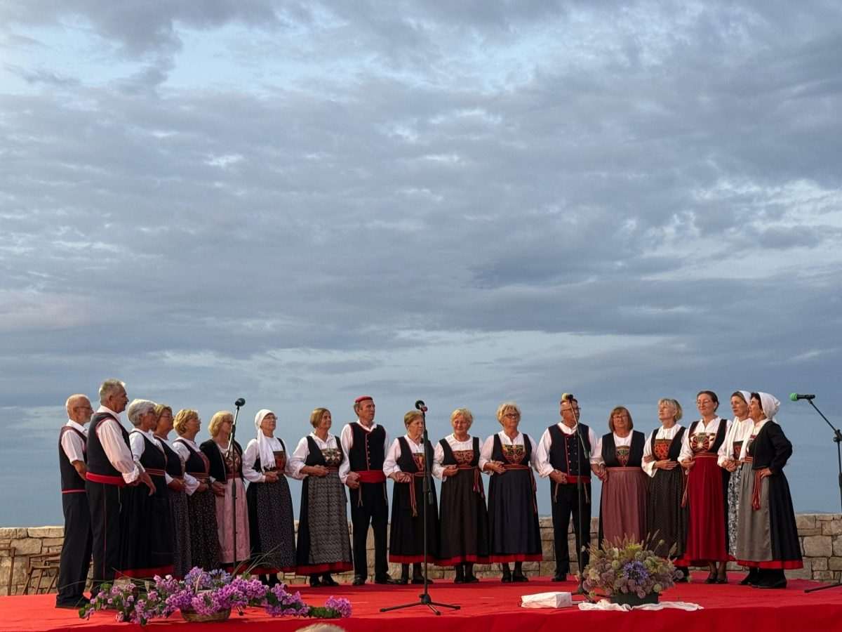 Večer folklora u Tkonu / Foto: Fenix (Ivan Mihovec)