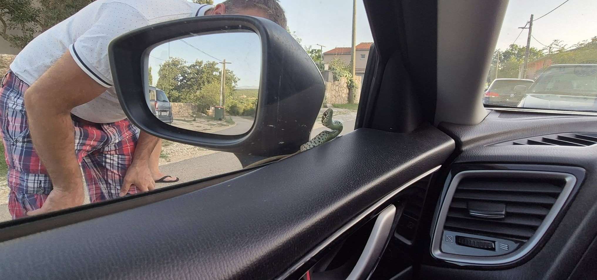 Zmija na autu / Foto: Fenix (MD)