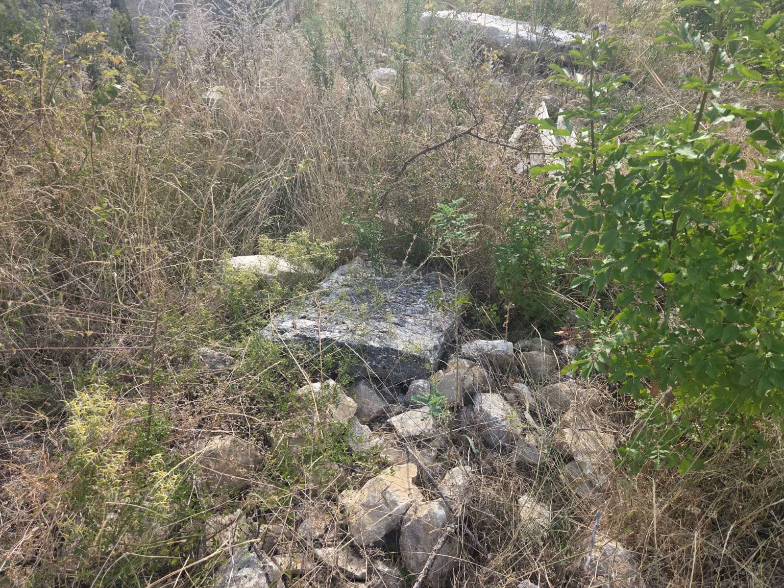 (FOTO) HU BENEDIKT POZIVA NA HITNU REAKCIJU: Kako zapravo izgleda danas crkva sv. Marka u Donjem Karinu? Grobovi kraj crkve/ Foto; HU Benedikt