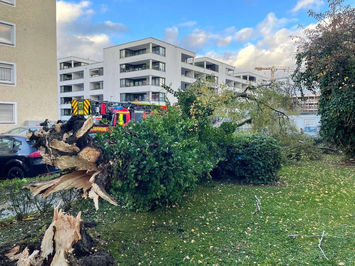 Nevrijeme pogodilo dijelove Njemačke/ Foto: Feuerwehr Konstanz
