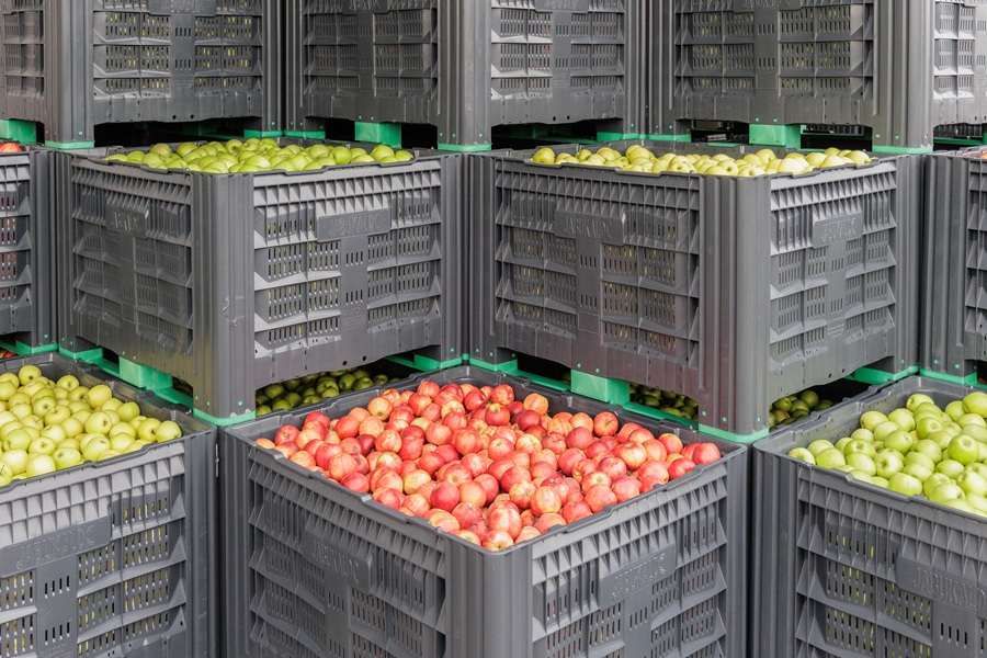 ZNAČAJNA INVESTICIJA: Plenković u Križu otvorio Logističko-distributivni centar vrijedan 26 milijuna eura Otvoren logističko-distributivni centar jabuka u Križu / Foto: Hina
