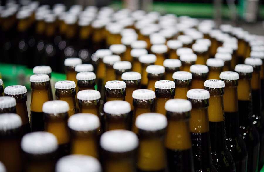 PIVO