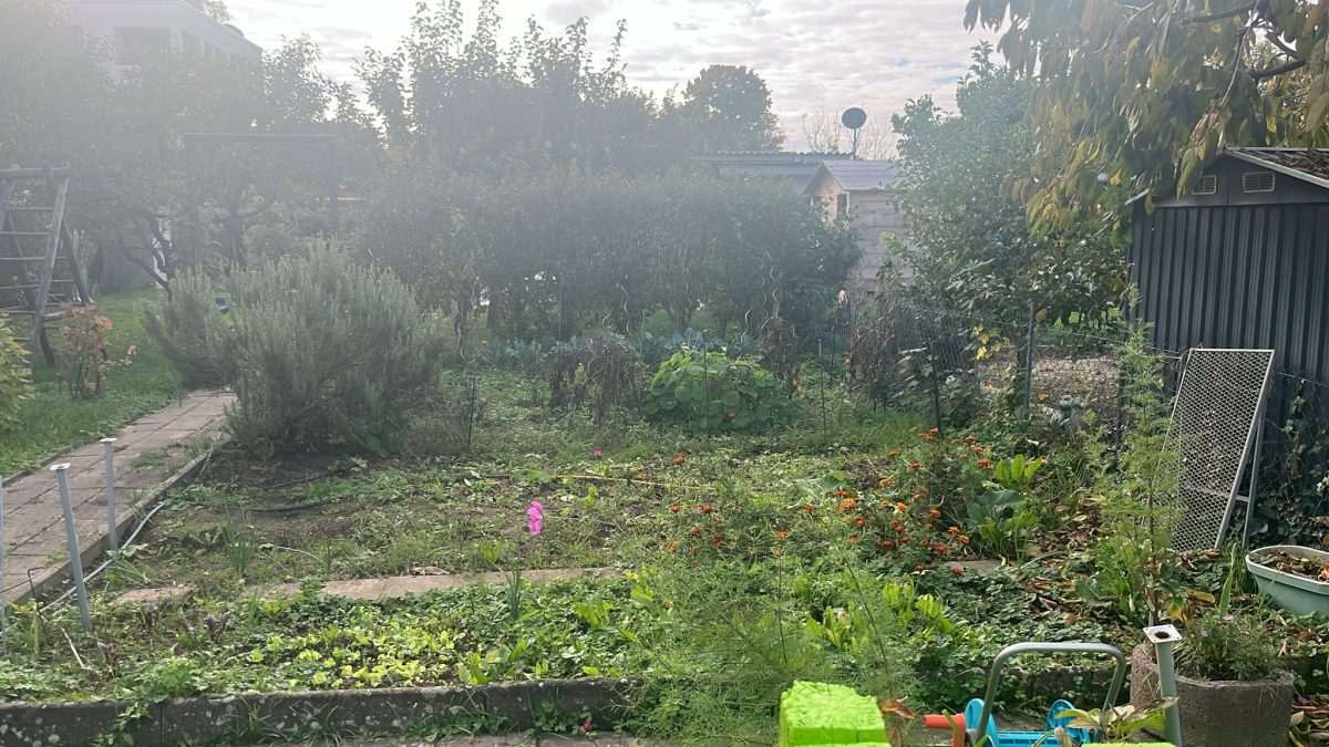 NAKON RADOVA U VRTU: Mnogi Hrvati u Njemačkoj imaju svoj vrt – evo što trebaju znati o pravilnom zbrinjavanju vrtnog otpada Vrt (Ilustracija) / Foto: Fenix (MD)