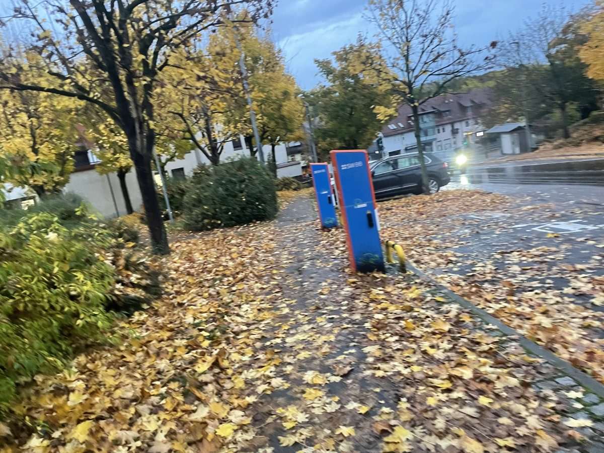 Jesen (ILUSTRACIJA)/ Foto: Fenix (SC)