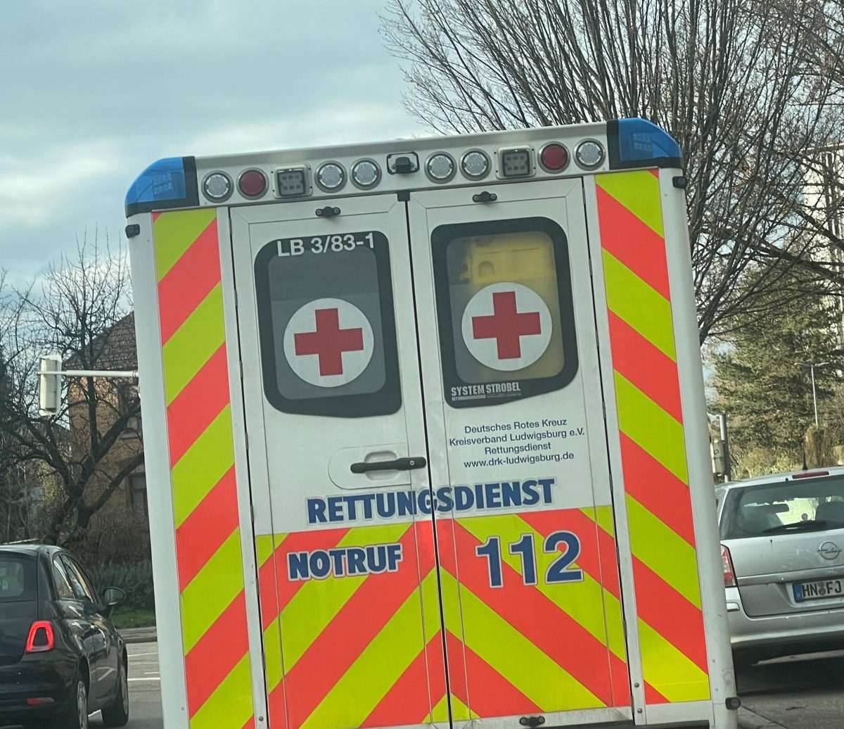 Hitna pomoć/ Foto: Fenix (SC)