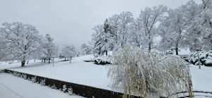 ZIMA U SVOJOJ LJEPOTI: Fra Marijan Karaula zabilježio nezaboravne kadrove Livna