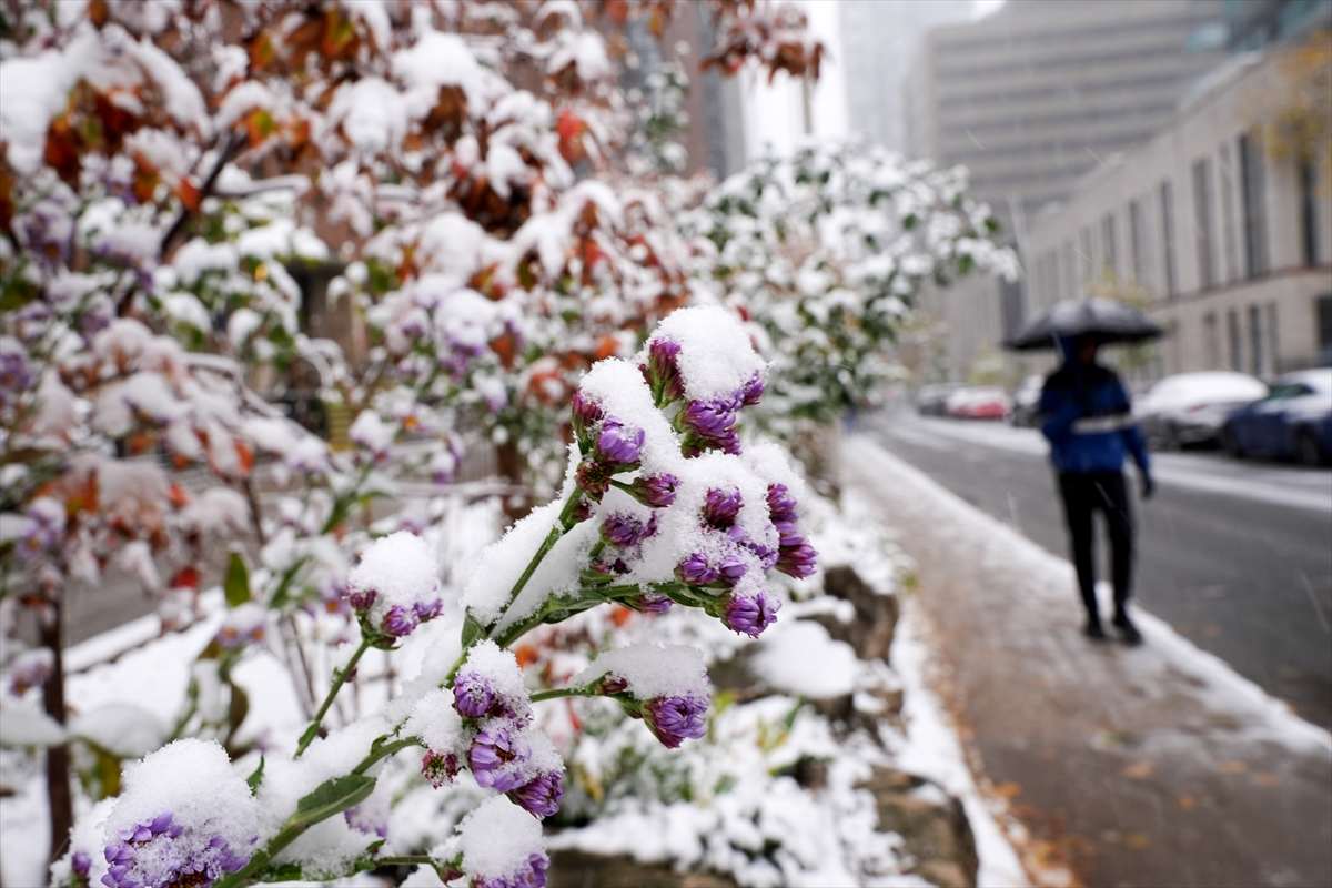 Snijeg (ILUSTRACIJA)/ Foto: Anadolu