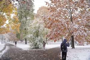 Snijeg (ILUSTRACIJA)/ Foto: Anadolu