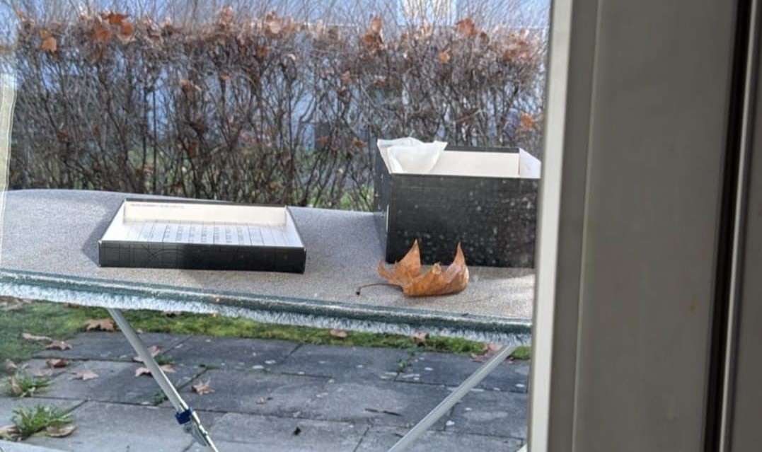 Kutija u kojoj je bio šišmiš / Foto: Fenix (čitateljica)