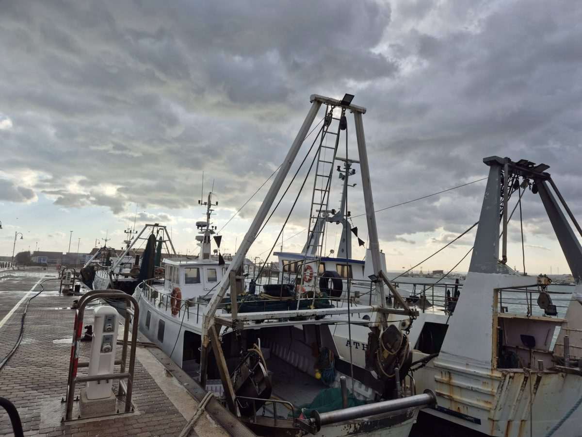 ZALJEV VJETROVA, HRVATI I TERMOLI: Prizori koji se teško zaboravljaju! Luka u Termoliju / Foto: Fenix (MD)