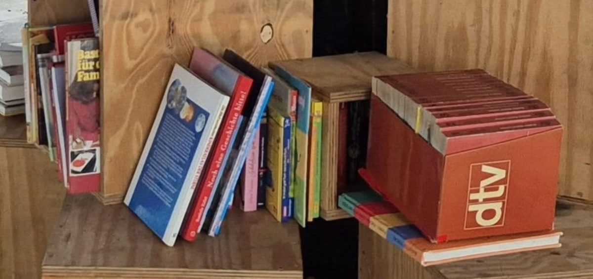 Knjige (Ilustracija) / Foto: Fenix (MD)