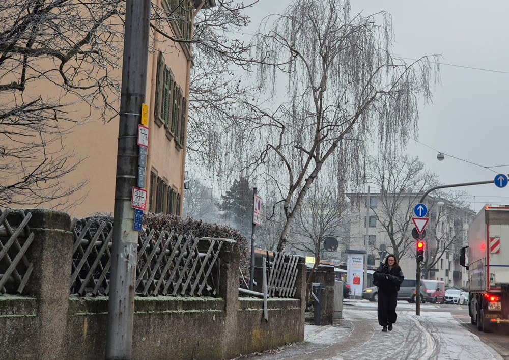 Hladno vrijeme u Njemačkoj / Foto: Fenix (MD)