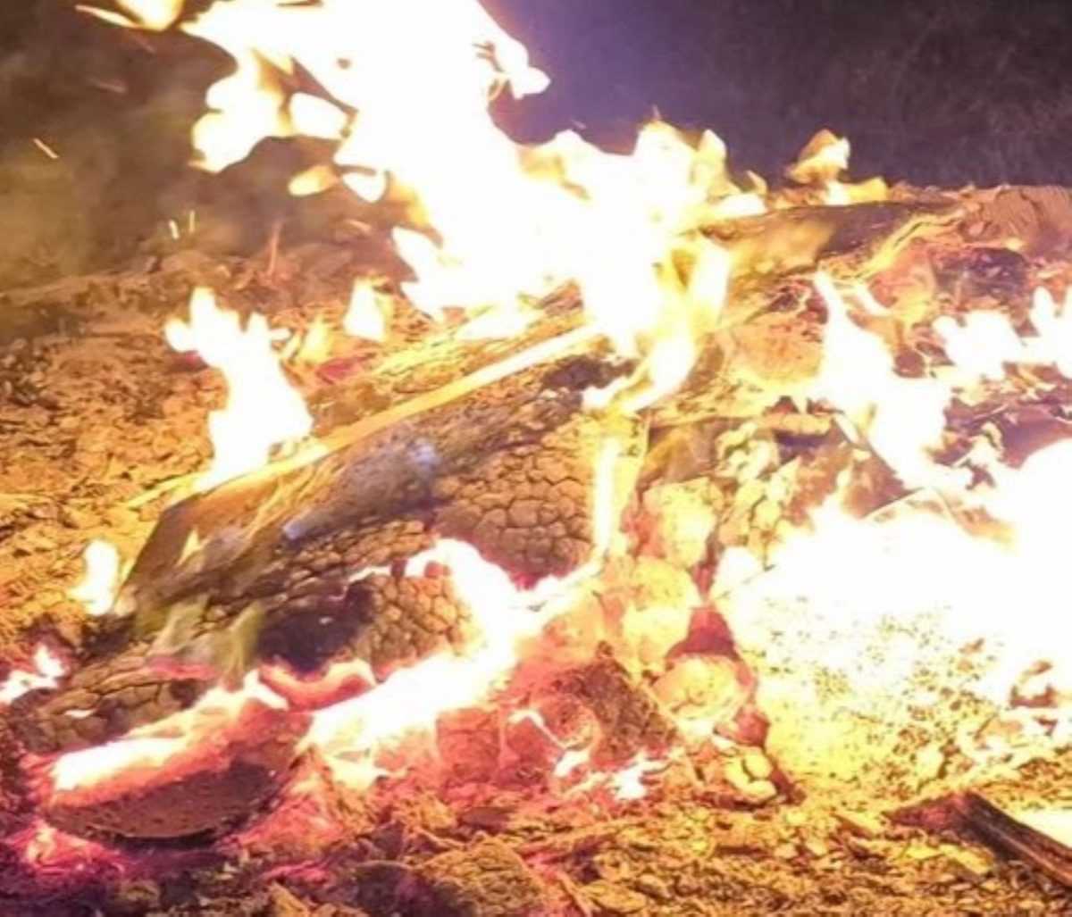 Vatra (Ilustracija) / Foto: Fenix (MD)