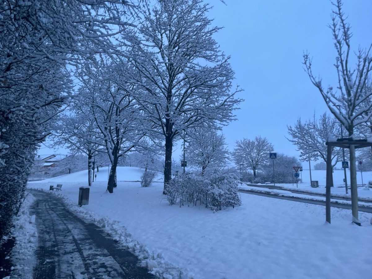 Snijeg (ILUSTRACIJA) / Foto: Fenix (SC)