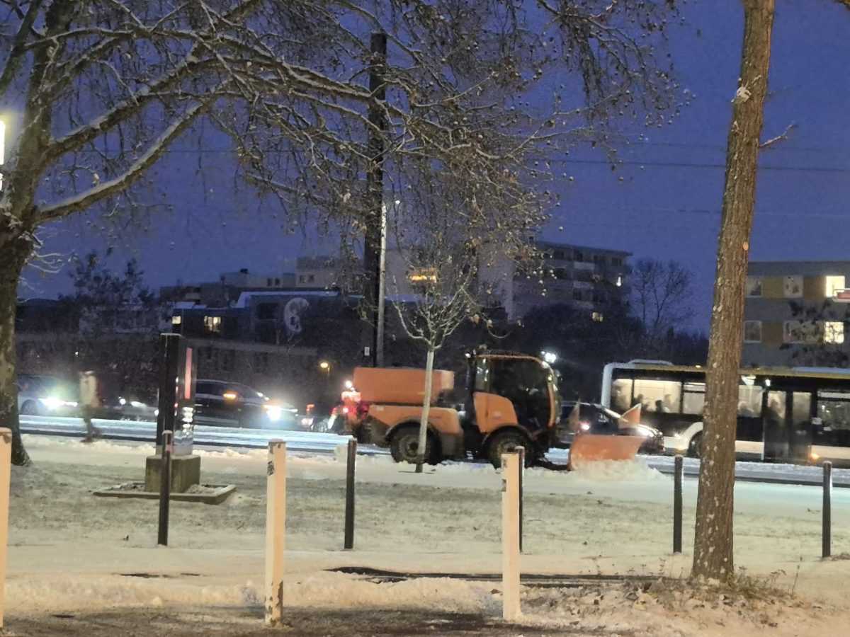 Snijeg (ilustracija) / Foto: Fenix (MD)