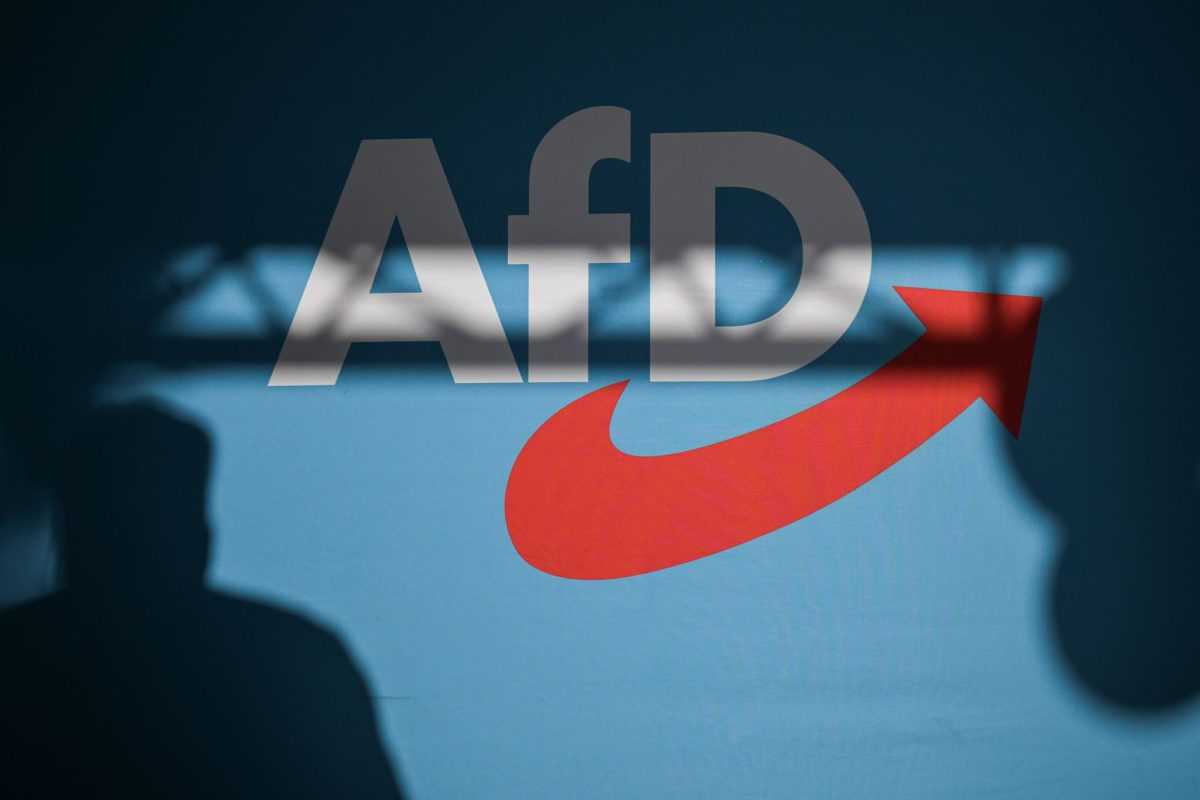AfD / Foto: Hannes P Albert/dpa