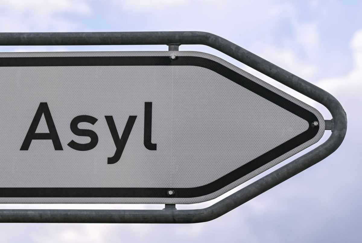 Azil / Foto: Patrick Pleul/dpa