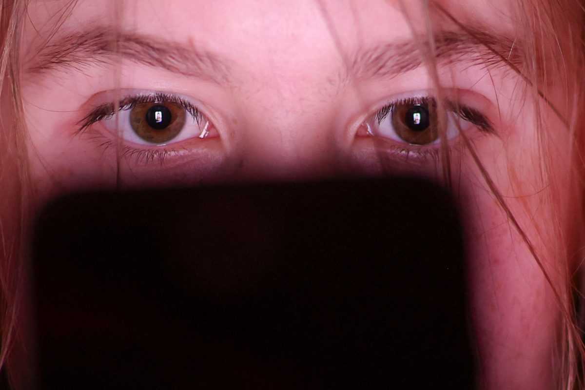 Društvene mreže/ Foto: Jan Woitas/dpa