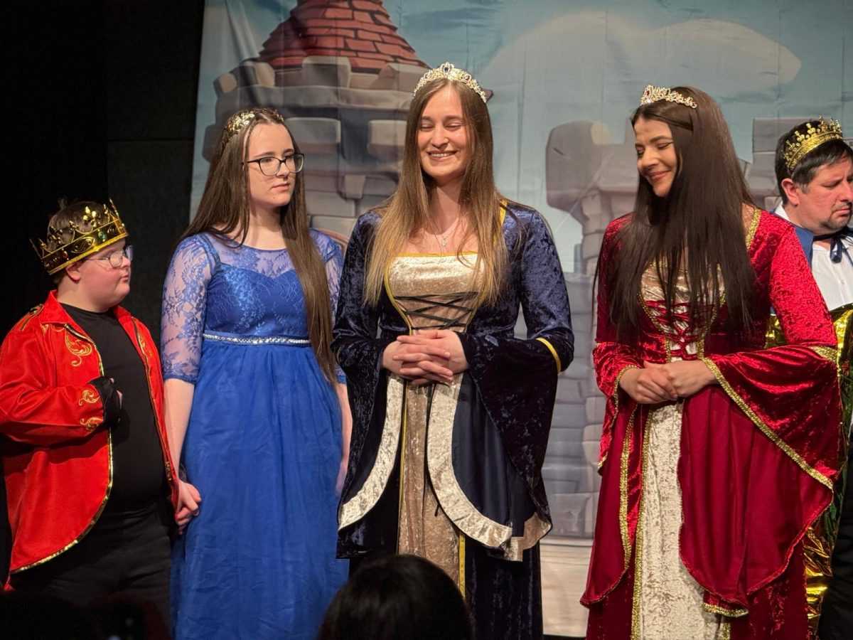 BAJKA O VIOLONČELU: Nova predstava kazališta Maska iz Münchena oduševila djecu