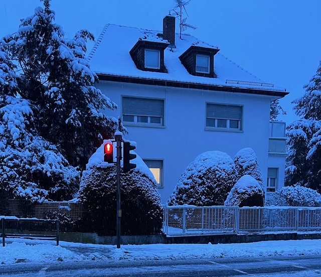 Snijeg u Oberursellu (Hessen) / Foto: Fenix (L. Vojnović)
