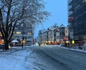 Snijeg u Oberursellu (Hessen) / Foto: Fenix (L. Vojnović)