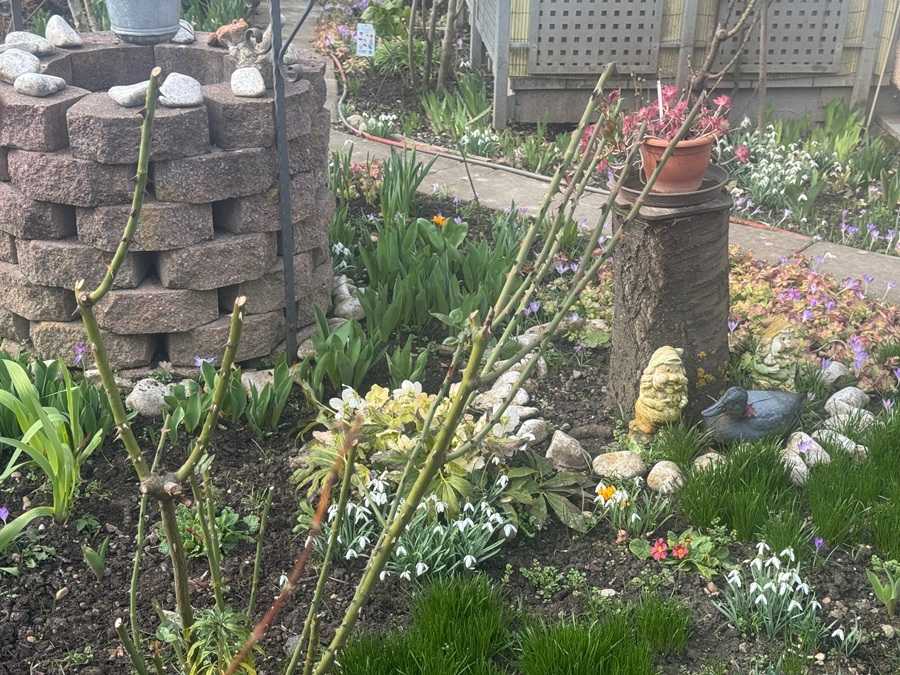 DO 50.000 EURA KAZNE: Zbog jedne pogreške u prirodi VISIBABA VRT