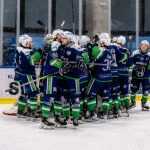 PRIČA O USPJEHU: Hokejaši Siska su ulaskom u polufinale Alpske lige ostvarili povijesni rezultat