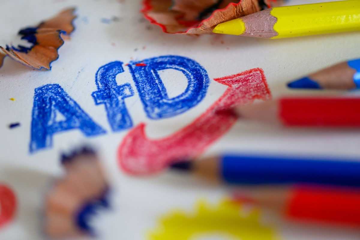 AfD / Foto: Hendrik Schmidt/dpa