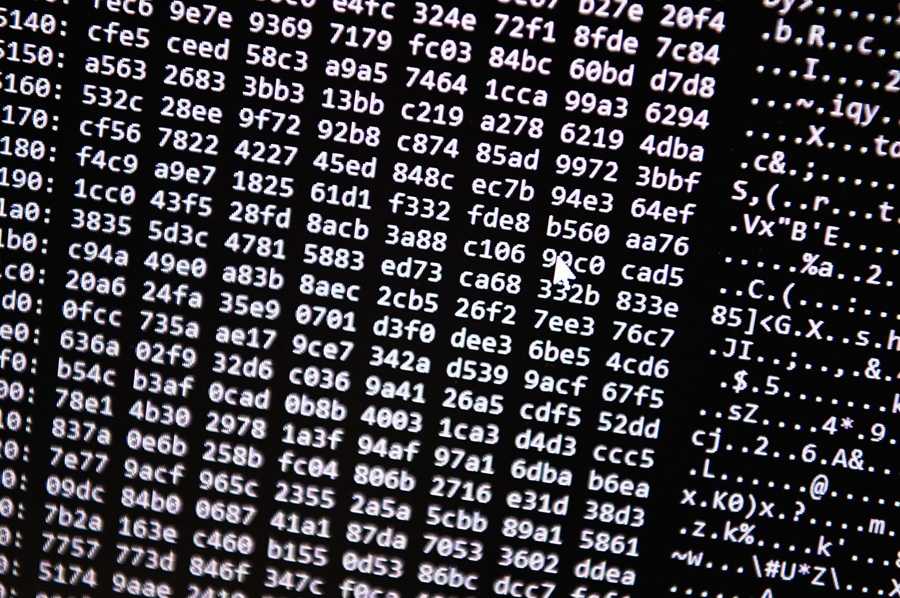 Darknet / Foto: Nicolas Armer/dpa