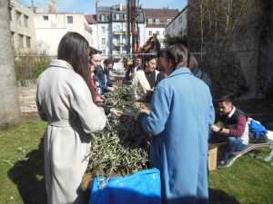 Pripreme za Cvjetnicu / Foto: Fra Jozo Župić