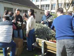 Pripreme za Cvjetnicu / Foto: Fra Jozo Župić