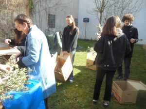 Pripreme za Cvjetnicu / Foto: Fra Jozo Župić