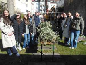 Pripreme za Cvjetnicu / Foto: Fra Jozo Župić