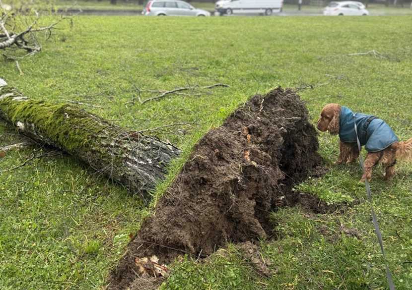 Nevrijeme / Foto: Hina