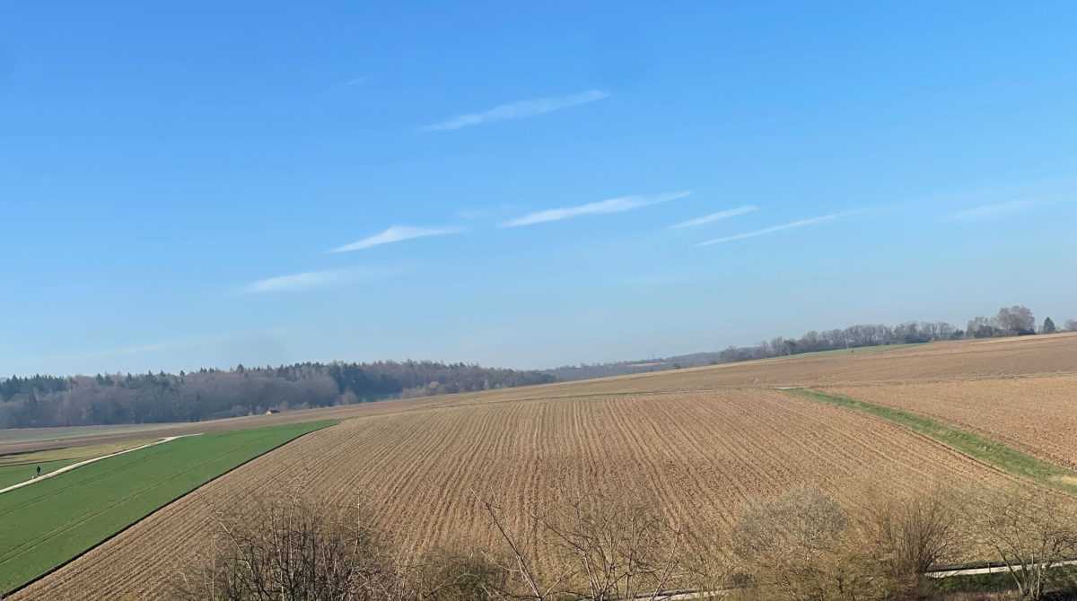 Polje (ILUSTRACIJA) / Foto: Fenix (SC)