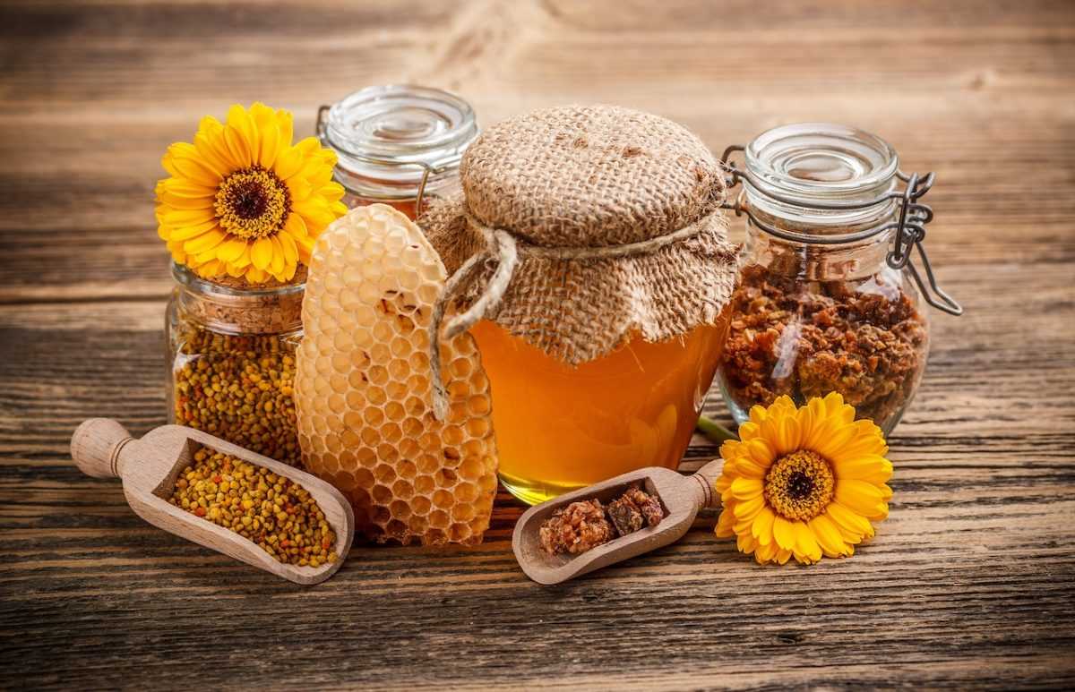 DIE BESTEN BIENENPRODUKTE FÜR MEHR GENUSS, WOHLBEFINDEN UND LEBENSQUALITÄT