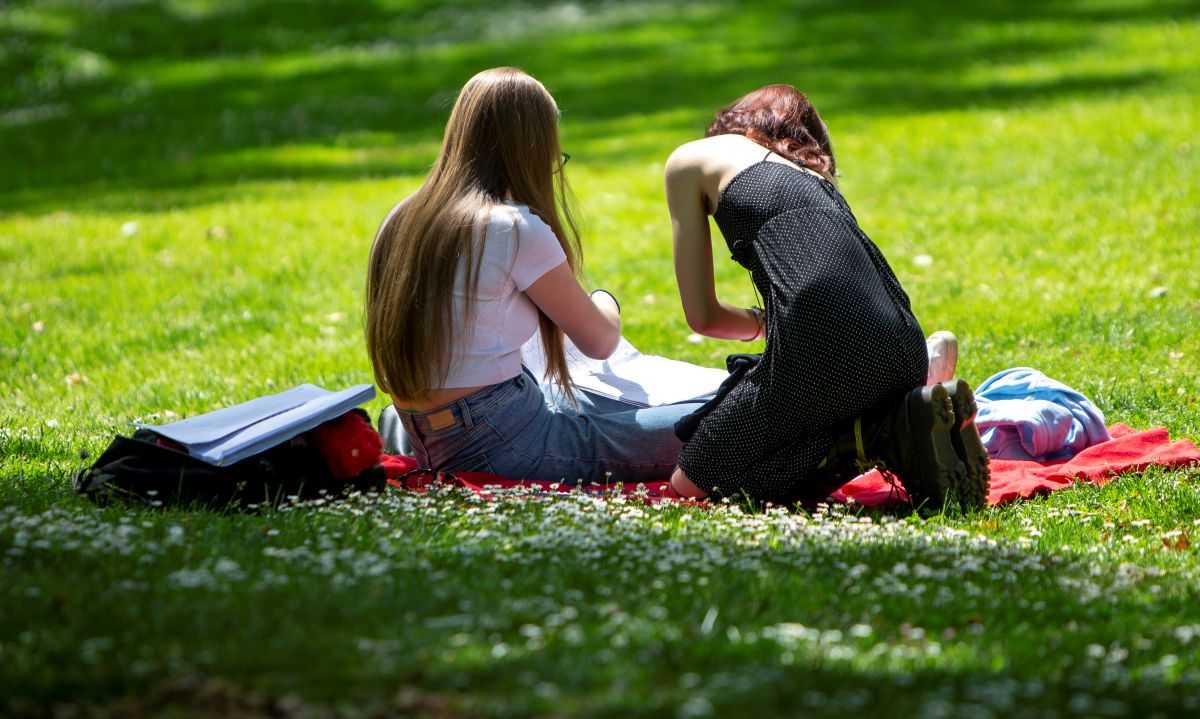 SVI SU MISLILI DA JE OVO HOBI BAKA I DJEDOVA: Podatak iz Njemačke šokirao stručnjake, mladi poludjeli za jednim predmetom